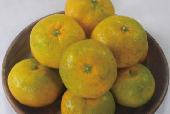 5,001～ – ギフト専門通販サイト「えこわいず」